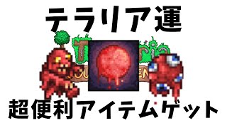 #5【Terraria】激レアアイテム獲得！？運が良いぞおおお！【PC/マスターモード】