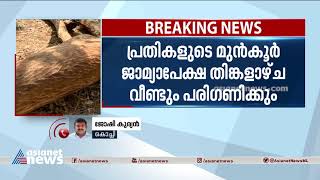 മുട്ടിൽ മരംമുറി കേസ്; പ്രതികൾ സഹകരിക്കുന്നില്ലെന്ന് സർക്കാർ | Muttil Forest Plunder Case