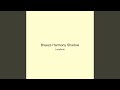 Breeze Harmony Shadow