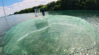 I’ve caught thousands of dollars worth of bait with this technique!!! How to throw a big cast net!!!