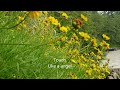 Westlife Evergreen + lyrics , 720p HD ,Taiwan Mt Dongyan