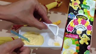 【なぞなぞねるねる】青りんご\u0026パイナップル味を作ってみよう！ねるねるねるねで鳥も大喜び！