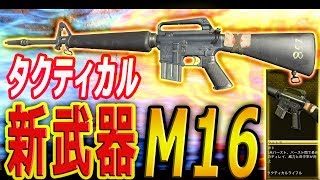 【BO4】新武器！『M16』を使ってみた件！！#36【カルミア】