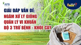 APN - XỬ LÝ GIỐNG, QUẢN LÝ VI KHUẨN, TẠO MẦM, BỘ 3 TRỪ BỆNH - KHỎE CÂY - ĐẸP LÁ | HỎI ĐÁP NHANH