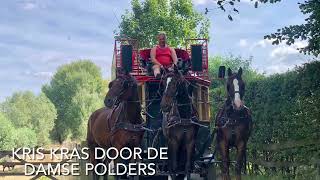 Paard en Koets - Kris Kras door de Damse Polders