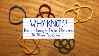 Why Knots? Knot Theory in Three Minutes
