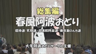 【総集編】新1年生入学記念公演「参加4連の阿波踊り」春風阿波おどり（2023.4.23）