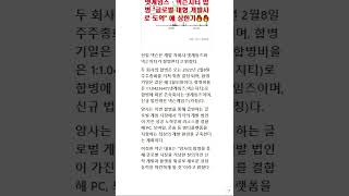 넷게임즈·넥슨지티 합병 \