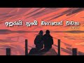 අපූරුයි නුඹේ බැගෑපත් වචන (රිදුම) - Apurui Nube Begapath Wachana (Riduma) || Shan Diyagamage | Lyrics