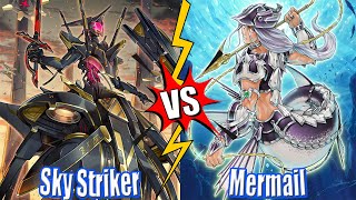 White Forest vs Mermail Atlantean \u0026 Sky Striker vs Mermail Atlantean - High Rated DB Yu-Gi-Oh! 2024