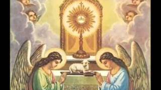 Eucaristia Milagro de Amor - Milagro de Amor- Milagro Eucaristico- Misa - Celabracion Eucaristica