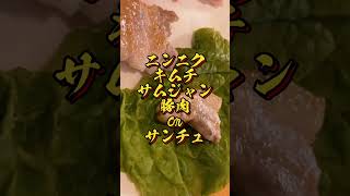 【飯テロ】豊橋大人気韓国食堂サムギョプサル #shorts #豊橋グルメ #サムギョプサル #韓国料理