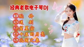 电子琴DJ《驼铃》《望星空》等五首串烧，经典老歌，优美动听