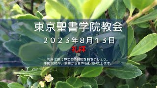 （予）2023年８月13日 東京聖書学院教会礼拝　「何て幸いだ！憐れみ深い人、心の清い人」齋藤善樹 牧師