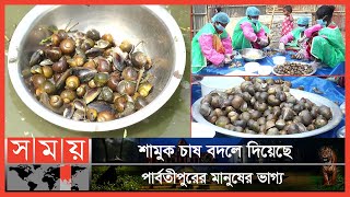 দিনাজপুরে জনপ্রিয় হয়ে উঠছে শামুক চাষ | Snail Farming | Dinajpur Snail Farm | Somoy TV