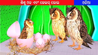 ଶିଶୁ ଓଳ ଏବଂ ଜେଲସ୍ ଭୋଇ | Baby Owl and Jailus Bhai's in Odia | Nadagam Stories Odia