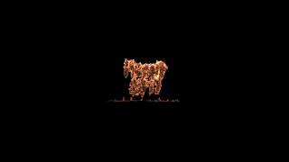 Renderman 21 test / fire shader using PxrVolume