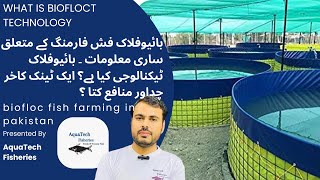 BioFloc Fish Farming in Pakistan | #biofloc  Technology (BFT) Fish Farming Business