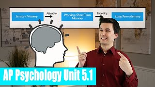 Introduction to Memory [AP Psychology Unit 5 Topic 1] (5.1)
