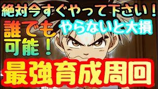 【ダイの大冒険 魂の絆】今しか出来ない育成超効率術！ゴールド金策　強化素材　すべてに最高の神イベント　不言実行！孤高の剣士