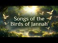 Songs of the Birds of Jannah | Peaceful Islamic Nasheed About Paradise & Tasbih 