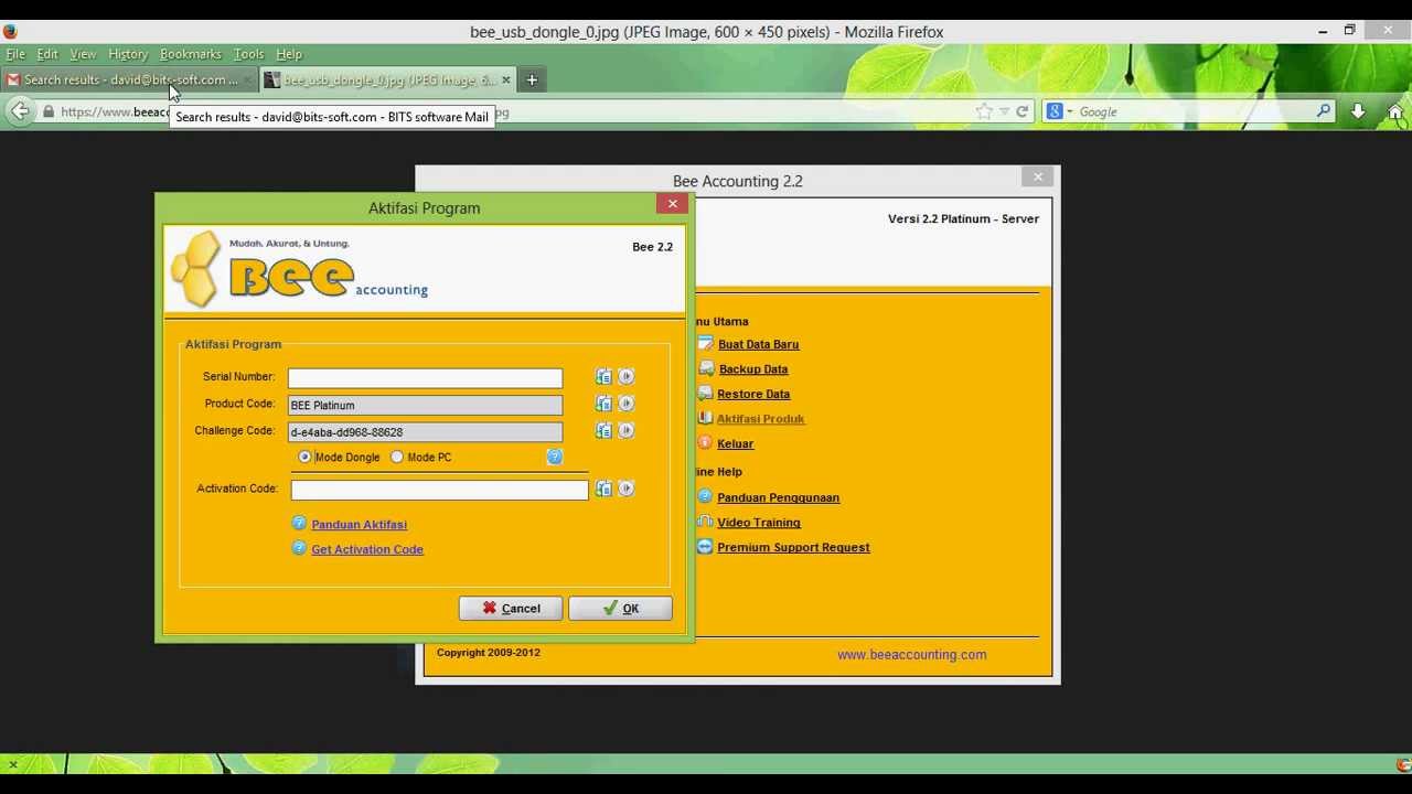 Aktivasi Bee Accounting Menggunakan Dongle Youtube