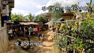 벌써.. 집이 다 지어졌다고? 내부는 과연 어떻게 되었을까? 필리핀 시골 이야기 (땅보기, 마당공사, 고구마)