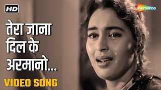 Tera Jana Dil Ke Armano Ka | Anari-1959 | Raj Kapoor | Nutan | Shankar-Jaikishan | Lata Mangeshkar