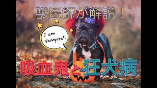 吸血鬼は実在したかも👻狂犬病のトリビアを獣医師が５分で解説します 🎃