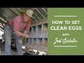 How To Get Clean Eggs From Your Laying Hens | Joel Salatin