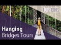 Hanging Bridges in Costa Rica | Explore the Rainforest Canopy