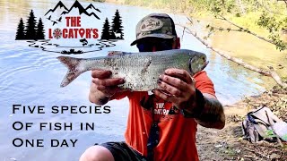 Five Species in One Day #fishingvideo #fishing