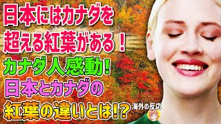 【海外の反応】「日本にはカナダを超える紅葉がある！」カナダ人が日本の紅葉を見てカナダとの違いに感動！その違いとは！？【日本人も知らない真のニッポン】