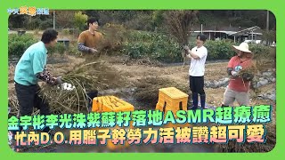 【夯韓綜】金宇彬李光洙紫蘇籽落地ASMR超療癒 忙內D.O.用腦子幹勞力活被讚超可愛 ｜種豆得豆