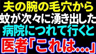 【スカッと】夫の腕の毛穴から蚊が次々に湧き出した。病院につれていくと医者「これは   」【修羅場】【総集編】#朗読