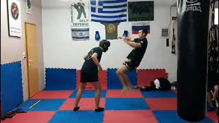 KRAV MAGA VIPER - Training MASTER ISKAN SELIM