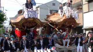 2015/5/17 城東聯合春祭り （地車祭り）-3-