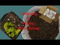 Unboxing and Potting Venus Flytraps from JerimiahsPlants!