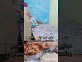 روتين يومي كامل كله شقى و مرار