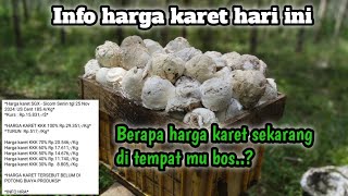 Info harga karet hari ini 25 November 2024 turun lagi