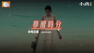 梦醒时分 - 半吨兄弟 | 原唱 - 陈淑桦 | 在小鱼听好歌 | Fish Music | 动态歌词/Lyrics