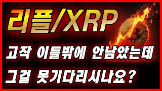 리플 XRP 코인 고작 이틀밖에 안남았는데 그걸 못기다리시나요?