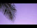 Inviting Humming Background Nasheed