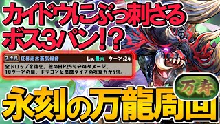 【永刻の万龍】ディアブロスがカイドウと相性抜群！最強スキルでボス最短3パン！浅倉南・スズラン使いません！万寿チャレンジ対応！【パズドラ】