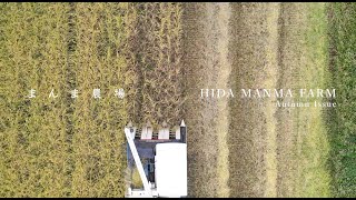 飛騨高山まんま農場 稲刈り ドローンHida Takayama Japan Manma Harvesting rice  Drone