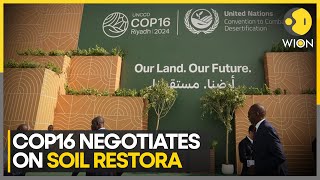 COP16 Calls for Urgent Investments to Combat Land Degradation | World News