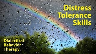 DBT Distress Tolerance Skills Explained (BPDToronto.com)