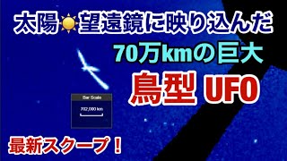 太陽巨大UFOスクープ・全長70万㎞が太陽の左側を旋回飛行する鳥型の新型宇宙船発見