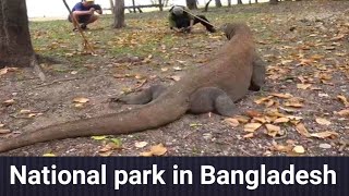 Singra National park.Singra national park in Dinajpur.সিংড়া জাতীয় উদ্যান দিনাজপুর