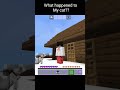 What happened to my cat?? #meme #minecraft #PeDee-cool